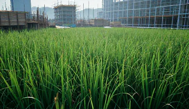 物联网设备对接服务选型建议与适用场景分析